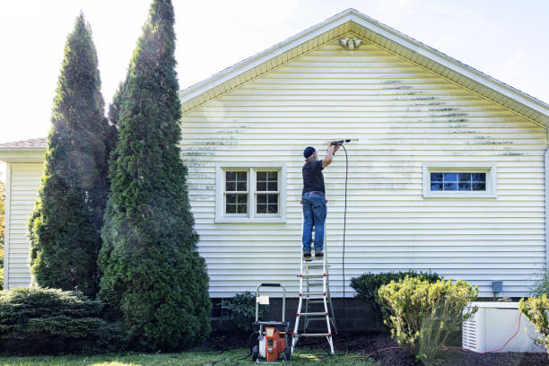 Best Exterior Home Cleaning  in Silver Creek, NY