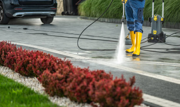Best Affordable Pressure Washing  in Silver Creek, NY