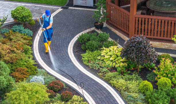 Best Residential Pressure Washing Services  in Silver Creek, NY